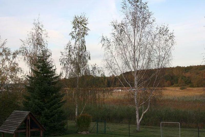 Ferienwohnung Am Bodden رالسفيك المظهر الخارجي الصورة
